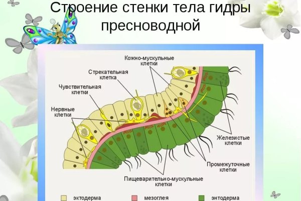 Кракен ссылка 25