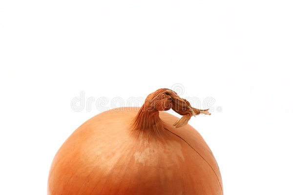 Mega onion ссылка